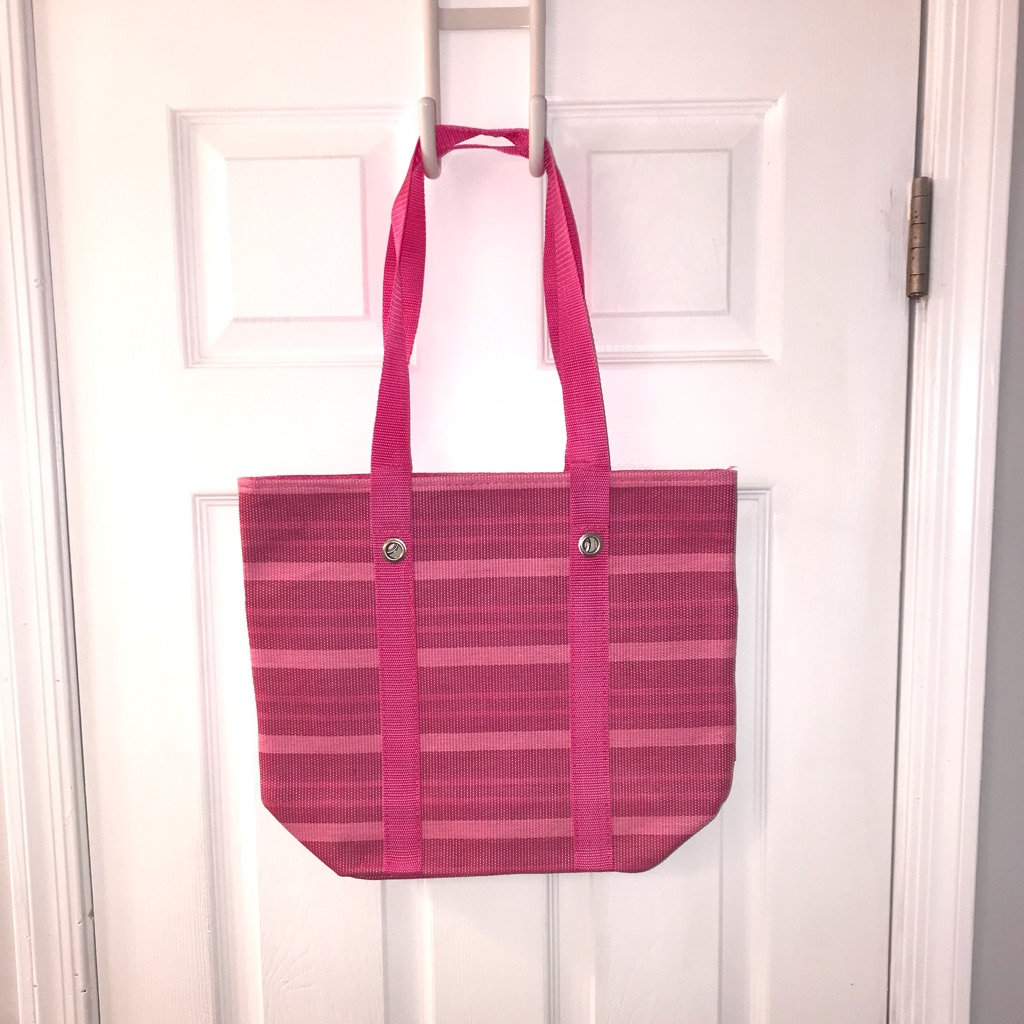 Never Used Beach Bag By Strivectin